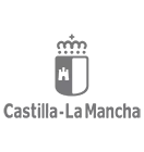 UNIVERSIDAD DE CASTILLA - LA MANCHA (SUE CARIBE)