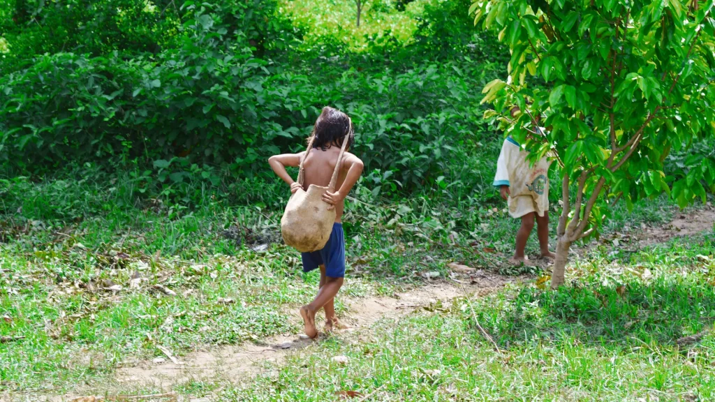 Niños indígenas caminando por una vereda