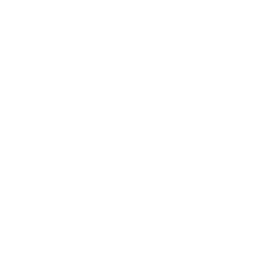 Piesa SUE UNiguajira gaviota
