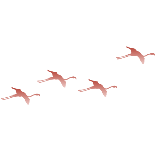Gaviotas SUE - Uniguajira
