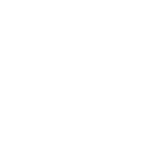 Piesa SUE UNiguajira gaviotas