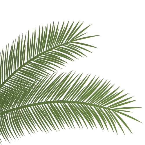 palmera 1 SUE - Uniguajira