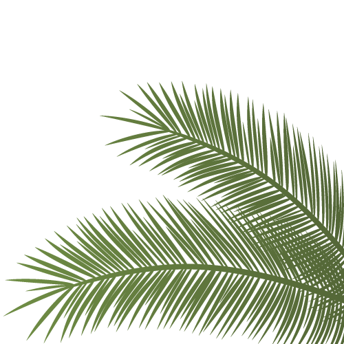 palmera 2 SUE - Uniguajira