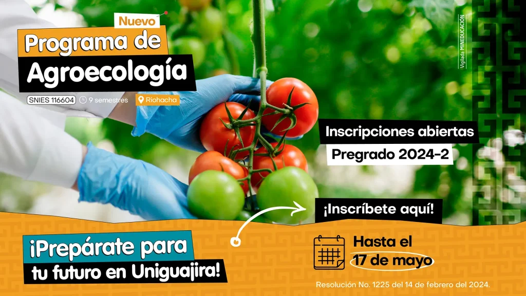 manos con guantes azules sosteniendo varios tomates de colores verdes y rojos