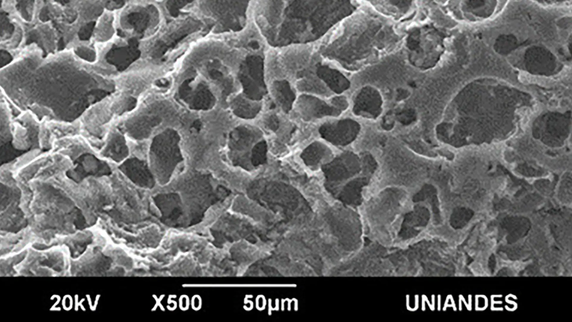 Superficie porosa del carbón activado