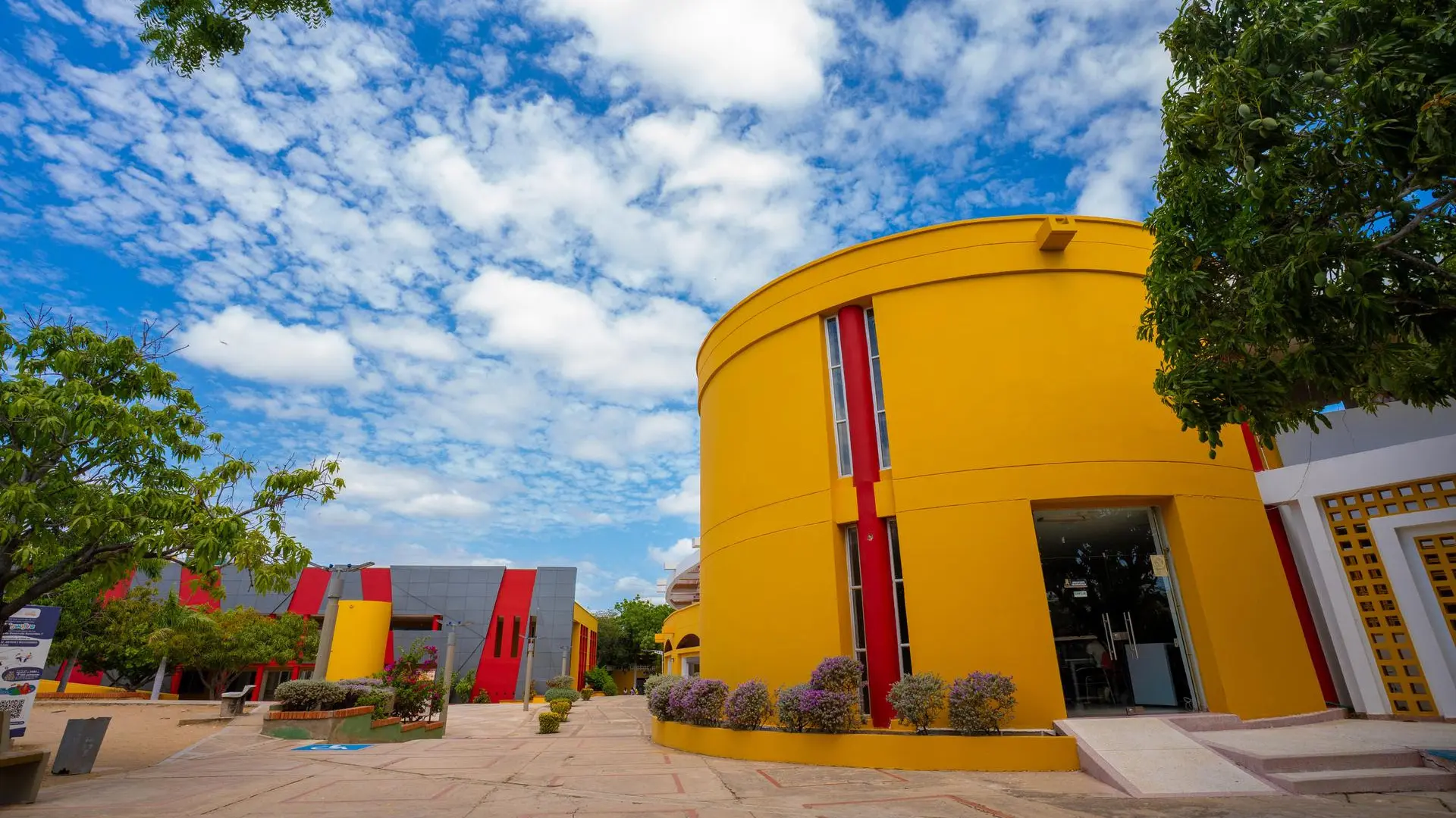 Uniguajira se posiciona como la universidad pública con mejor gestión institucional en el Caribe colombiano