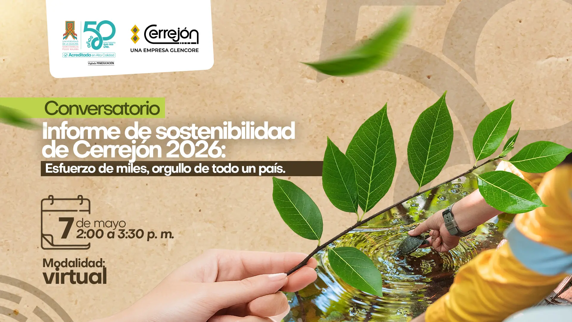 Pieza promocional de un conversatorio sobre el Informe de Sostenibilidad de Cerrejón 2026, organizado por la Universidad de La Guajira en alianza con Cerrejón. El diseño presenta hojas verdes y manos interactuando con el agua, evocando sostenibilidad y cuidado ambiental. Incluye la fecha 7 de mayo, horario de 2:00 a 3:30 p. m. y modalidad virtual. En la parte superior aparecen los logos institucionales de ambas entidades.