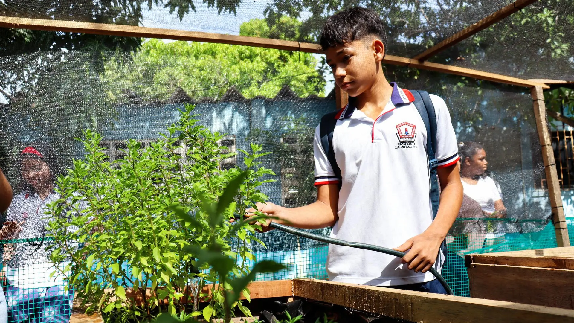 Estudiante de primaria con uniforme escolar riega plantas en un pequeño huerto o vivero. Sostiene una manguera mientras observa las hojas verdes. Al fondo se ven otros estudiantes y una estructura con malla que protege el cultivo, en un entorno al aire libre.