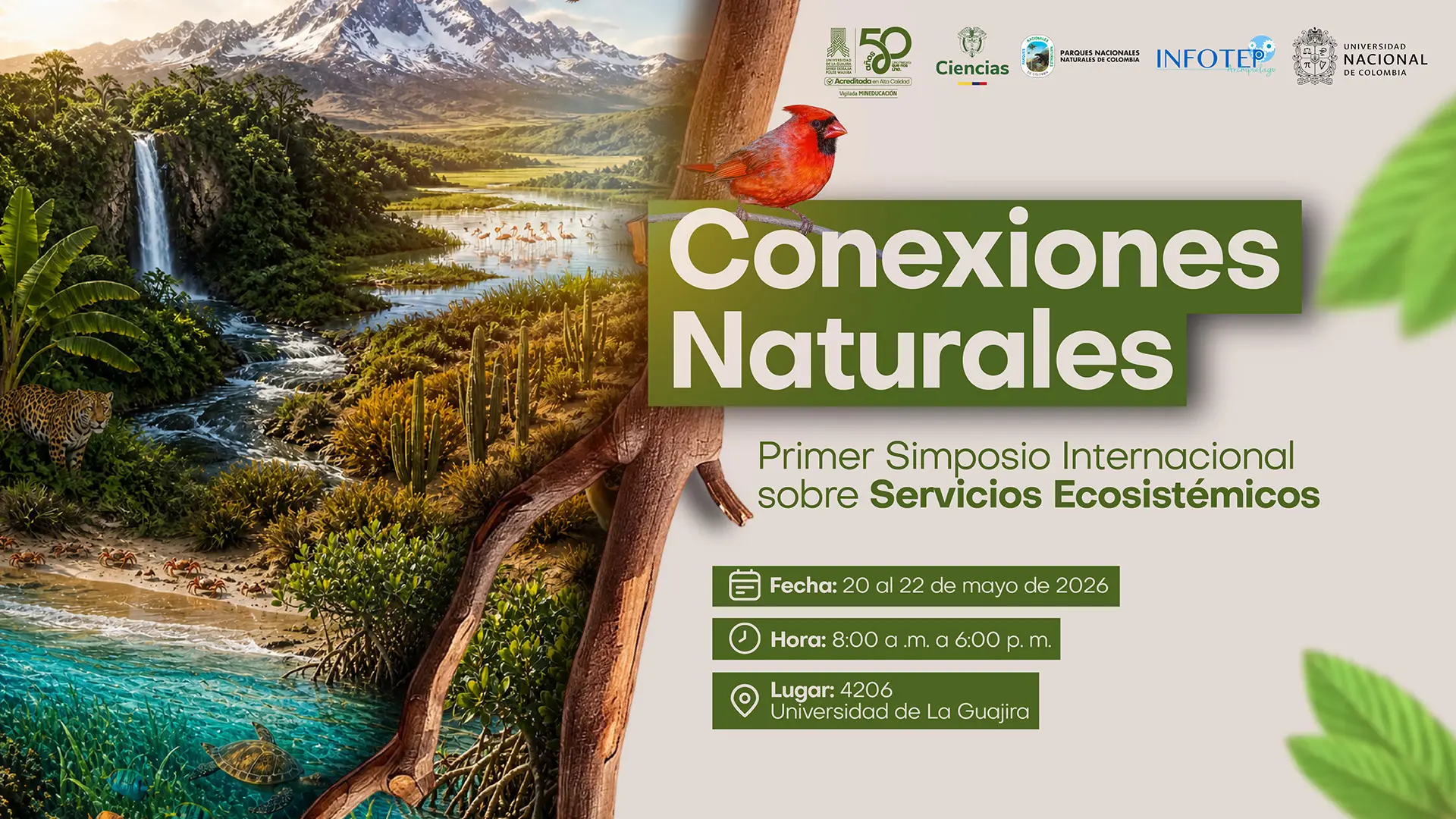 Afiche promocional del “Primer Simposio Internacional sobre Servicios Ecosistémicos: Conexiones Naturales”. A la izquierda, ilustración de un paisaje diverso con montaña nevada, cascada, río, humedales con aves, vegetación tropical, un felino en la orilla y una tortuga en el agua, representando la biodiversidad. A la derecha, fondo claro con el título destacado en verde y un ave roja posada sobre el texto. Incluye información del evento: fecha del 20 al 22 de mayo de 2026, horario de 8:00 a. m. a 6:00 p. m., lugar en la Universidad de La Guajira (aula 4206), organizado por la Facultad de Ciencias Básicas y Aplicadas. En la parte superior aparecen logos institucionales.