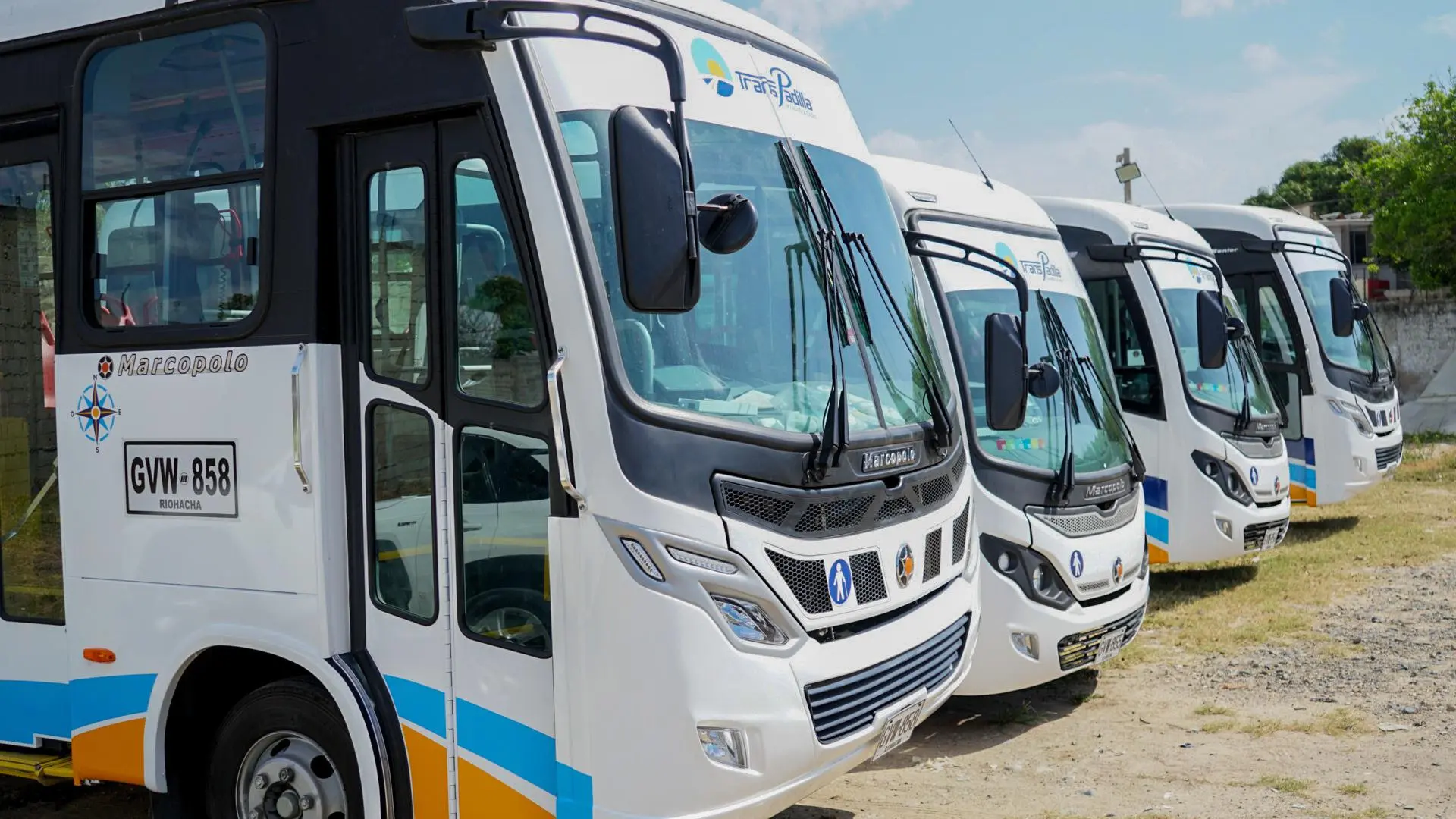 Fila de buses blancos de transporte estacionados al aire libre, con logotipos visibles y cielo despejado de fondo.